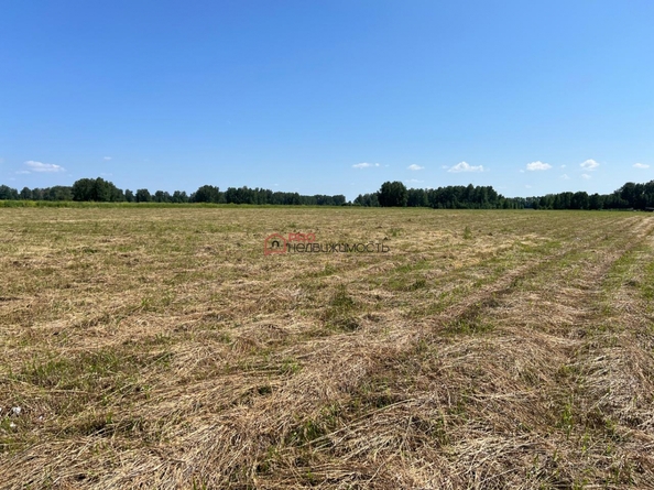 
  Продается земельный участок 450 соток. Фото 15.