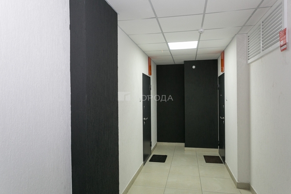 
  Продается студия 29.7 м², в ЖК Матрешкин двор, дом 1 . Фото 17.