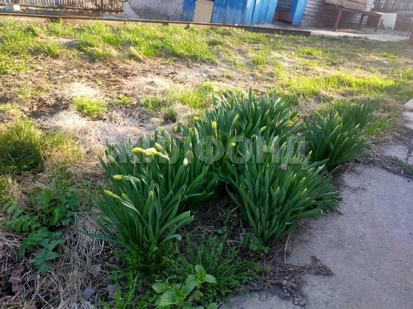
  Продается дача 20 м². Фото 9.