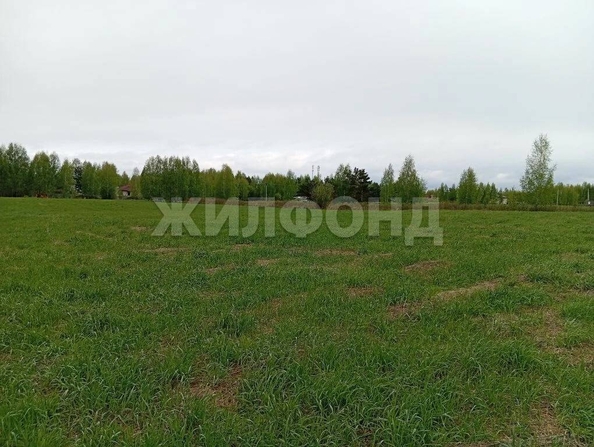 
  Продается земельный участок 44.8 сотки. Фото 8.