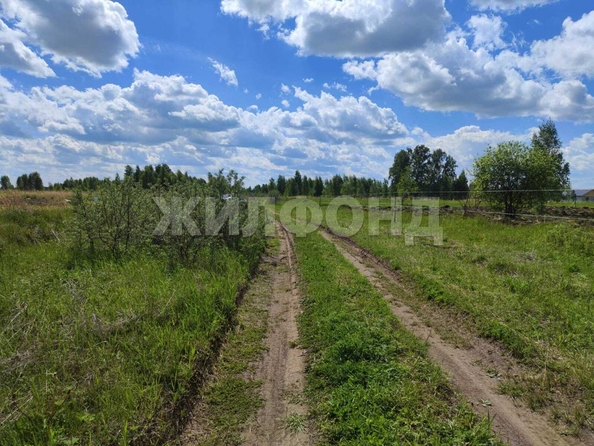 
  Продается земельный участок 8.09 соток. Фото 4.