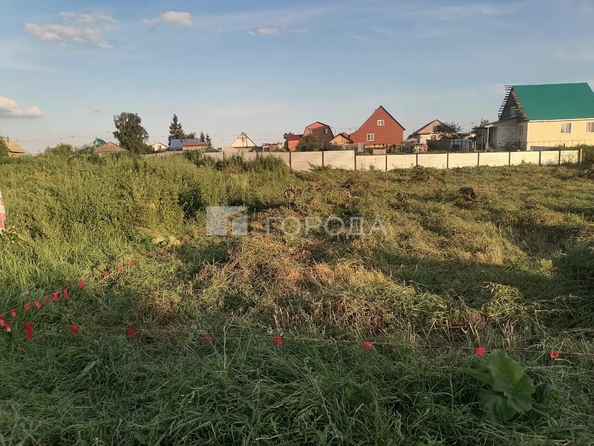 
  Продается земельный участок 10 соток. Фото 5.
