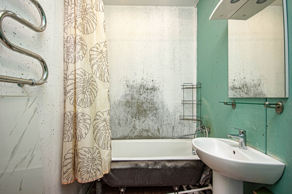 
  Продается студия 37.8 м². Фото 14.