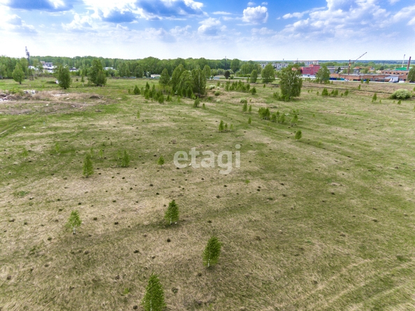 
  Продается земельный участок 6 соток. Фото 3.