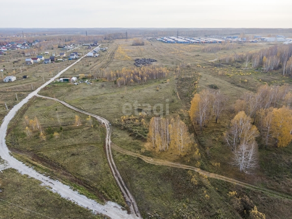 
  Продается земельный участок 6 соток. Фото 4.