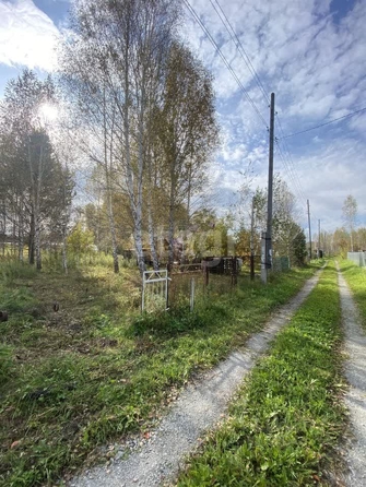 
  Продается земельный участок 10 соток, в КП Березки Садовый. Фото 3.