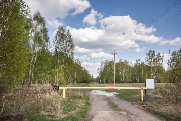 
  Продается земельный участок 14.6 соток, в КП Олимп. Фото 3.