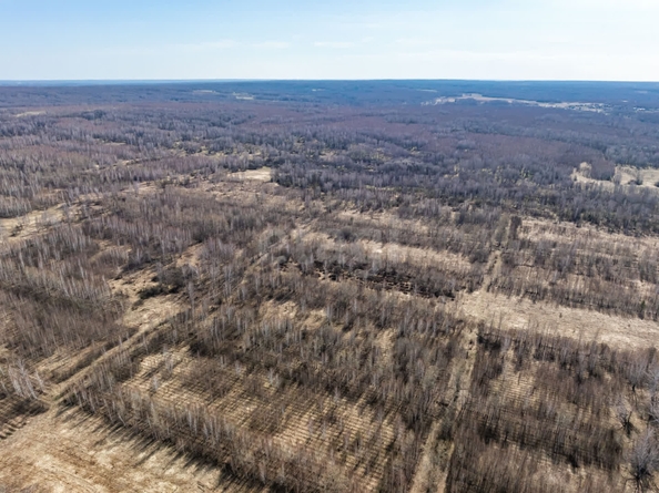 
  Продается земельный участок 2240 соток, в КП Олимп. Фото 6.