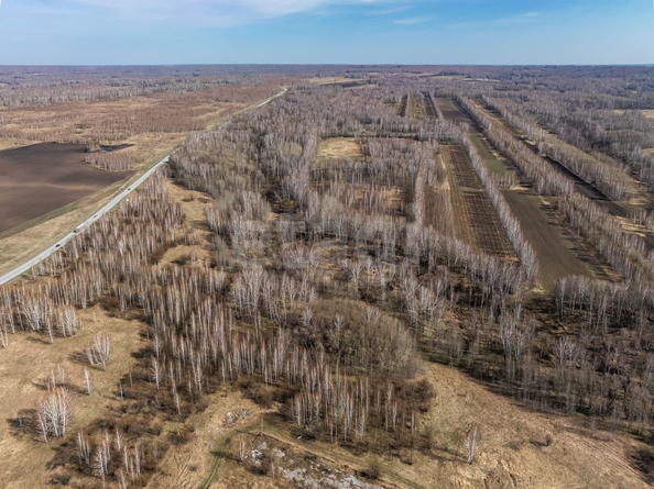 
  Продается земельный участок 177 соток, в КП Олимп. Фото 9.
