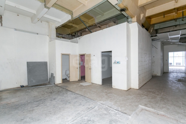 
  Сдается универсальное помещение 274 м². Фото 9.
