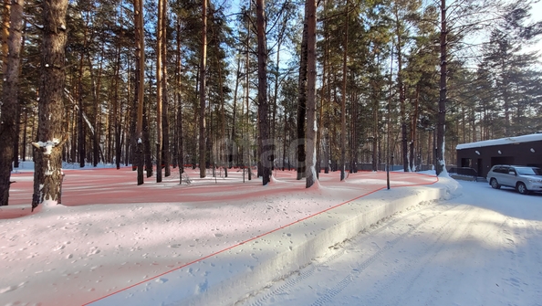 
  Продается земельный участок 29.29 соток. Фото 2.