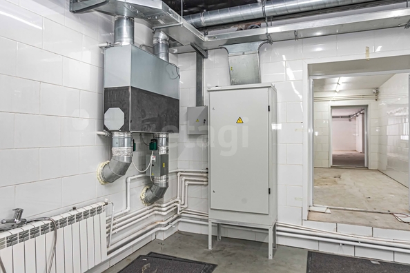 
  Сдается универсальное помещение 900 м². Фото 13.
