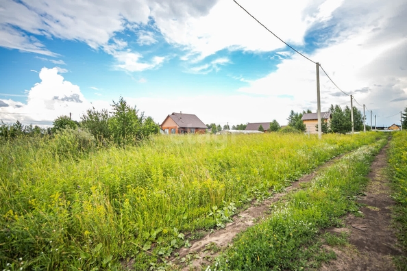 
  Продается земельный участок 8 соток. Фото 3.