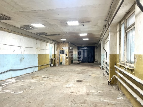 
  Продается универсальное помещение 300 м². Фото 8.
