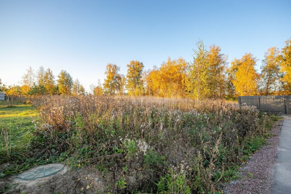 
  Продается земельный участок 7.5 соток. Фото 4.