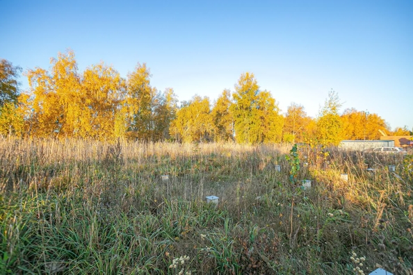 
  Продается земельный участок 7.5 соток. Фото 7.