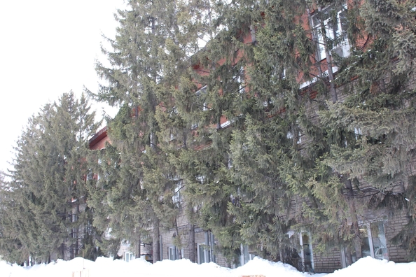 
  Сдается универсальное помещение 86.8 м². Фото 6.