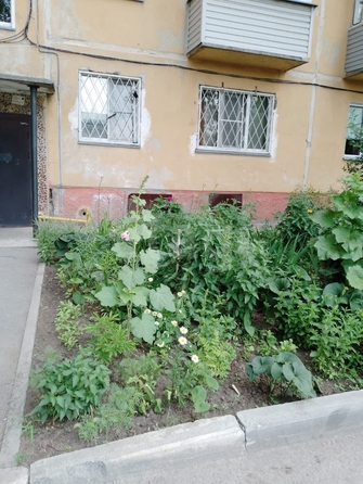 
  Продается 2-комн. квартира 43.5 м². Фото 9.