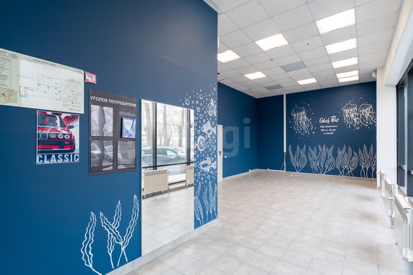 
  Сдается универсальное помещение 65 м², в ЖК Цивилизация, дом 1. Фото 4.