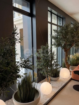 
  Продается студия 24.1 м². Фото 4.