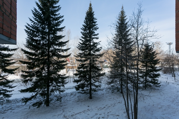 
  Сдается 2-комн. квартира 67 м². Фото 20.