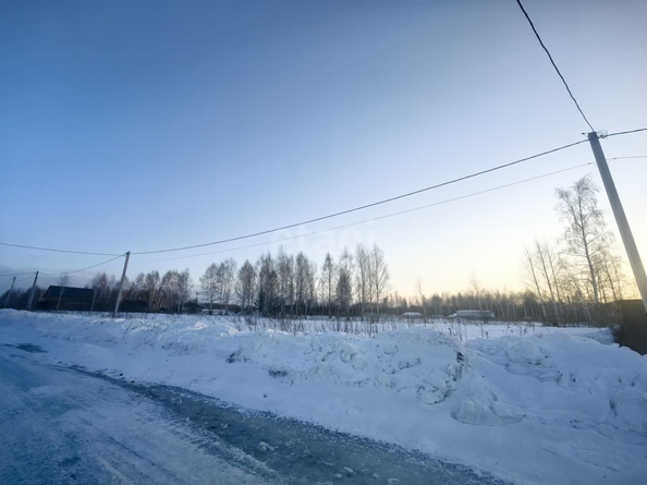 
  Продается земельный участок 30 соток. Фото 4.