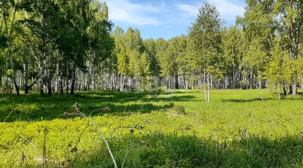 
  Продается студия 26.8 м². Фото 4.