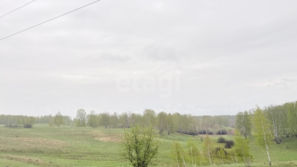 
  Продается земельный участок 54.2 сотки. Фото 15.