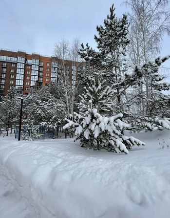 
  Продается 1-комн. квартира 42.6 м², в ЖК Эволюция, 1 оч, дом 3. Фото 16.