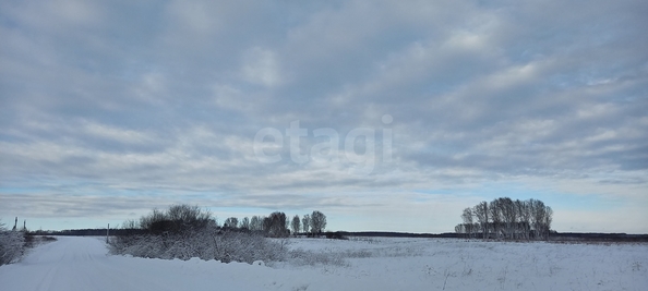 
  Продается земельный участок 99.98 соток. Фото 1.