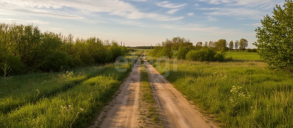 
  Продается земельный участок 99.98 соток. Фото 3.