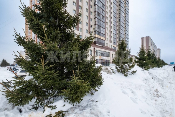 
  Продается 1-комн. квартира 36.8 м², в ЖК Родники, дом 453. Фото 23.