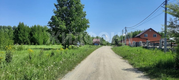 
  Продается земельный участок 48 соток. Фото 8.