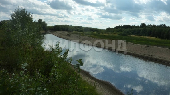 
  Продается земельный участок 10 соток. Фото 7.