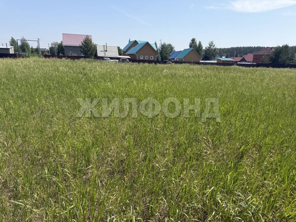 
  Продается земельный участок 11.15 соток. Фото 2.