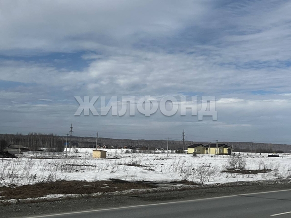 
  Продается земельный участок 10 соток. Фото 5.