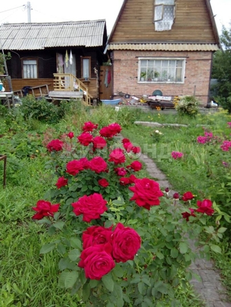 
  Продается дача 26 м². Фото 1.