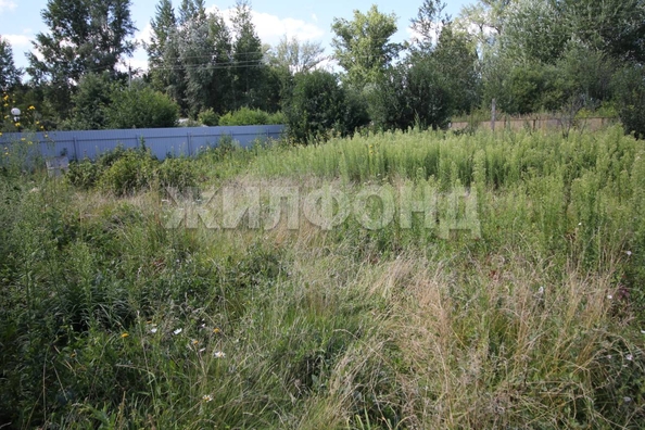 
  Продается дача 40 м². Фото 8.