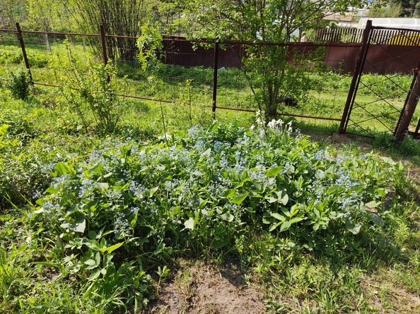
  Продам дачу 30 м². Фото 8.