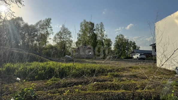 
  Продается земельный участок 4 сотки, в КП Гармония. Фото 6.