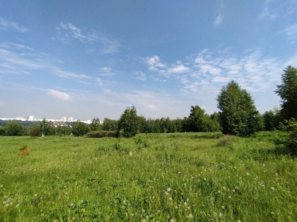 
  Продается земельный участок 427.49 соток. Фото 3.