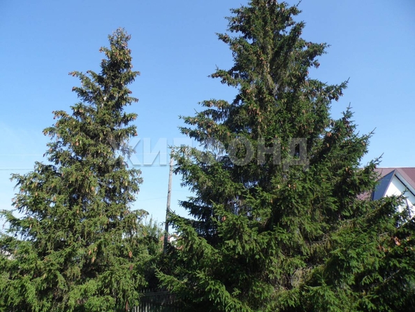 
  Продается дом 40 м². Фото 21.