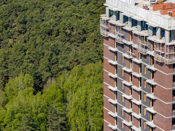 
  Продается 1-комн. квартира 23.55 м², в ЖК Белкин. Фото 15.