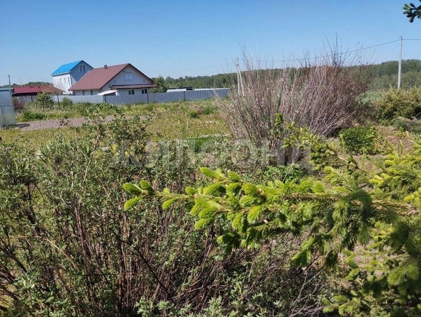 
  Продается дом 34 м². Фото 27.
