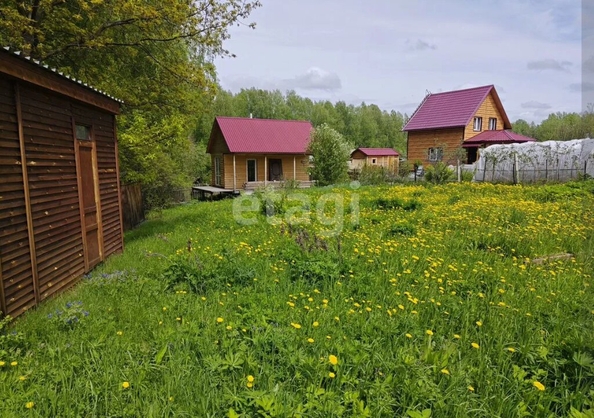 
  Продается земельный участок 5.6 соток. Фото 6.