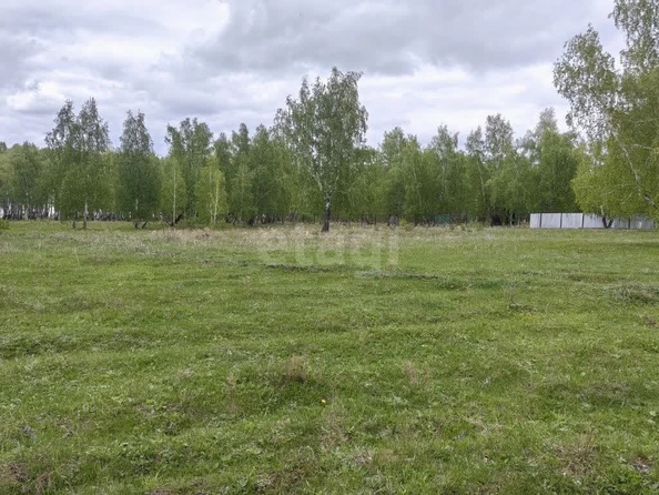
  Продается земельный участок 21 сотка, в КП Олимп. Фото 5.