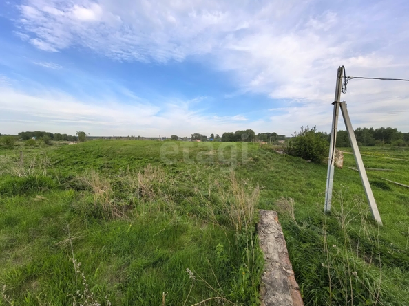 
  Продается производственное помещение 610 м². Фото 18.