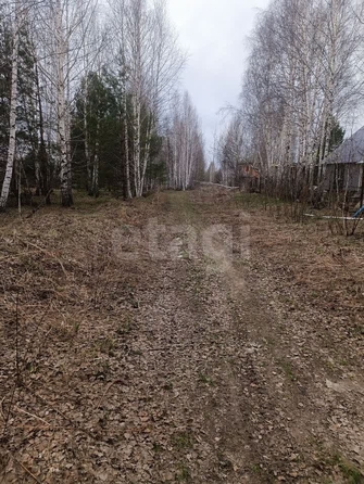 
  Продается земельный участок 9.7 соток. Фото 3.
