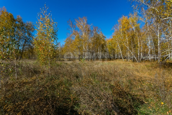 
  Продается земельный участок 18.84 соток. Фото 9.
