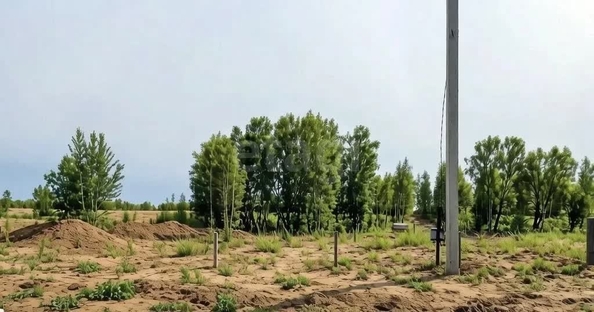 
  Продается земельный участок 9.48 соток. Фото 4.